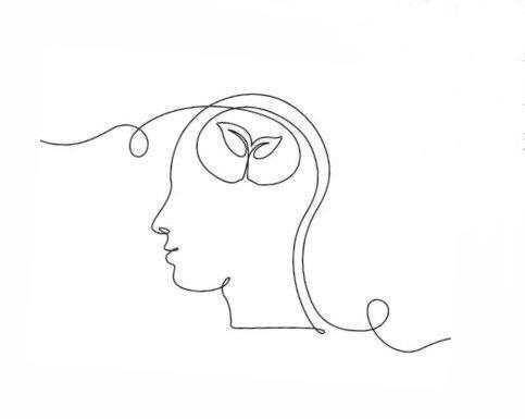 Webinar psicoeducativi